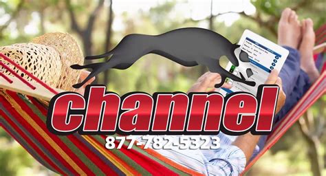 greyhoundchannel|Greyhound Channel .